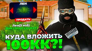 КУДА ВЛОЖИТЬ ПЕРВЫЕ 100КК на АРИЗОНА РП!?