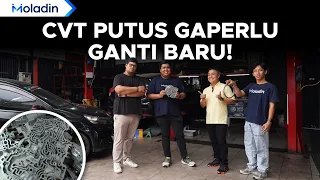 Tidak Harus Ganti Baru! Semua Transmisi Yang Rusak Bisa Diperbaiki Disini! | Moladin