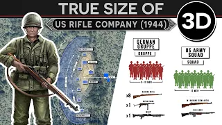 How the US Goes to War? - Anatomy and Tactics of an Army Rifle Company (June 1944) 3D DOCUMENTARY