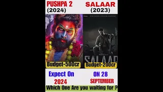 Pushpa 2 vs Salaar movie comparison 💥💥🎯 budget box-office #salaar #pushpa #pushpa2 #prabhas