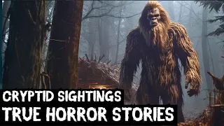 16 TRUE Disturbing Cryptid Sightings Horror Stories Told In The Rain (Dogman,Sasquatch,Wendigo...)