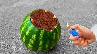 12 Amazing tests with Watermelon | Best Experiments Compilation