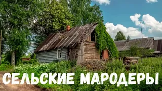 Сельские мародеры. Страшная история.