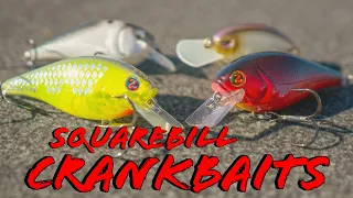 Squarebill Crankbait Tricks For Spring Bass Fishing