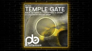 Temple Gate - Back to March (Dmitry Molosh Remix) [Plattenbank]