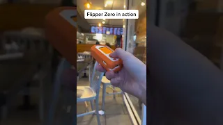 Flipper Zero Vs. McDonalds