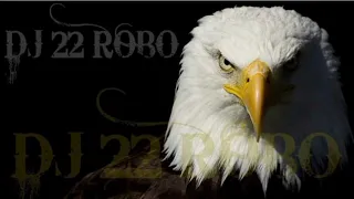 DJ 22 ROBO - Electro Bomb 💣💥 mix 2011 _ 2024