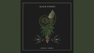 Back From the Black Forest (Original Mix)