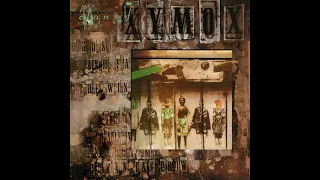 Clan Of Xymox – Stranger (Re-mix)