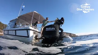 Dive Sydney boat diving scuba divers giant stride dive boat Bluefish Point site