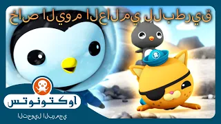 أوكتونوتس | 🐧 "بيزو" والعائلة ❄️ | خاص اليوم العالمي للبطريق ! | حلقات مجمعة