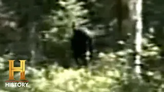 The Proof Is Out There: Bigfoot Footprints are ALL OVER the Blue Mountains (S3)