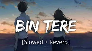 Bin Tere [Slowed+Reverb] | I hate Luv Storys | Lofi | Revibe