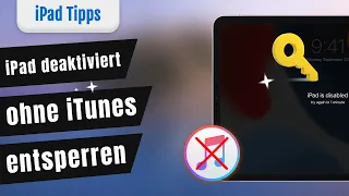 [Tutorial] iPad deaktiviert ohne iTunes entsperren