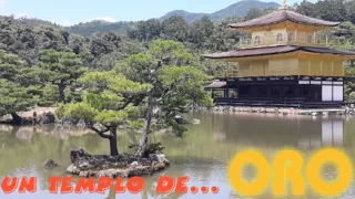 Kinkaku-ji: El Pabellón Dorado de Kyoto. El templo más brillante de Japón