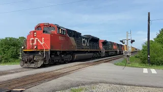 CN Freight trains EMERGENCY STOP right in front of us!
