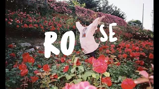 TAEYONG X SEULGI (태용X 슬기) - ''ROSE'' [1HOUR LOOP]