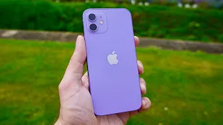 iPhone 12 mauve : aperçu et comparaison avec le 11