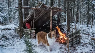 2 Night Winter Bushcraft Camp With My Dog
