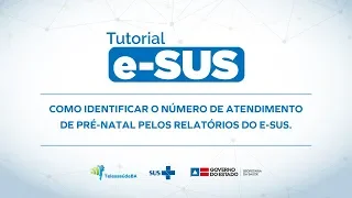 Tutorial e-SUS: Acompanhamento pré-natal