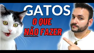 3 COISAS QUE VOCÊ JAMAIS DEVE FAZER COM SEU GATO 😼 COISAS QUE OS GATOS ODEIAM, ANIMAL GENIAL.