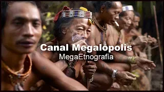 INDONESIA (Los Pueblo Mentawai y los Hombres Flores)  -  Documentales