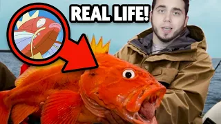 Poketuber Reacts to Pokemon in Real Life!