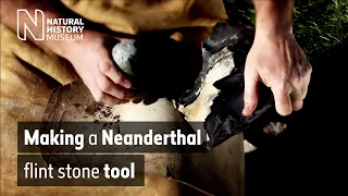 Making a Neanderthal flint stone tool | Natural History Museum