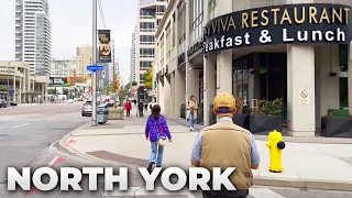 Toronto Walk : North York via Yonge Street from Sheppard Ave to Finch Ave