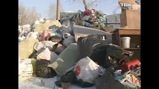 Во дворах Красноярска не вывозят мусор