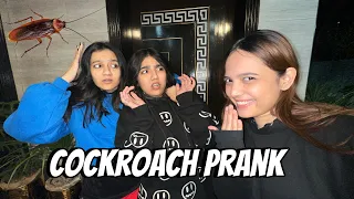 Cockroach Prank with Rabia and Zainab |Sistrology | Fatima Faisal