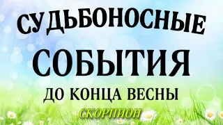 🔴 СКОРПИОН,♏️, ТРИ СУДЬБОНОСНЫХ ☘️ СОБЫТИЯ до конца 🌷ВЕСНЫ, таро,таро расклад,анназверева таро,