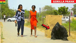 😂😂😂She wasn't Ready For This! Compilation 12. Bushman | Gorilla