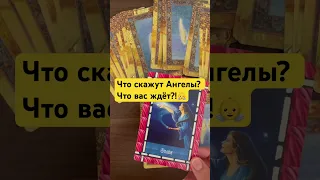 Спросим у Ангелов👼🙏🌸.  Что вас ждёт?