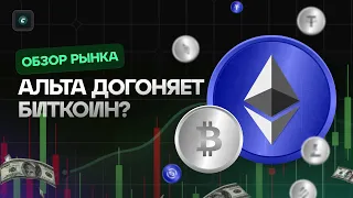 Альта догоняет биткоин??? | Обзор 09.02.2024