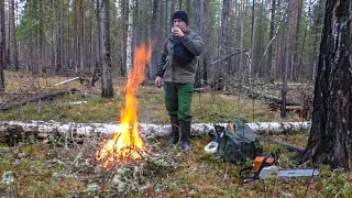 Глухари под собакой. Медвежья "захоронка". Прочистка путика. Жит-быт в избушках.