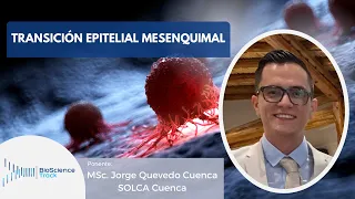 Transición Epitelial-Mesenquimal