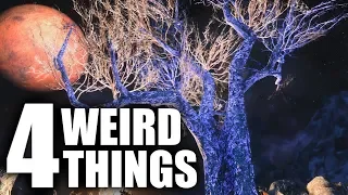 4 WEIRD Things YOU PROBABLY Don't Know! - Elder Scrolls Lore