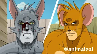 Tom VS Jerry (JoJo's Bizarre Adventure Cartoon Animation) 