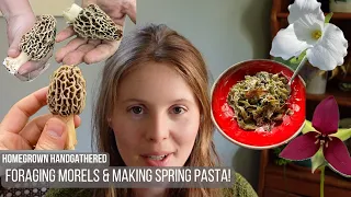 Foraging Morel Mushrooms and Making Spring Pasta!