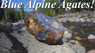 Blue Agates in the Mountains! Hunting an Alpine Stream for Blue Agate & Chalcedony!