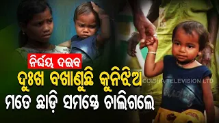 Apana Eka Nuhanti | Six orphan siblings in Koraput awaits assistance to make ends meet