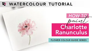 How to Paint a Charlotte Ranunculus in Watercolour - Flower Colour Guide Book Series