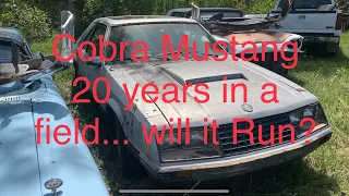 Junkyard Cobra Mustang! first start after 20 years in a field?!?