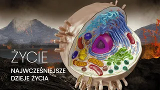 Życie | Najwcześniejsze dzieje życia