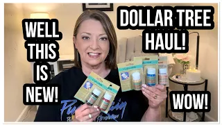 DOLLAR TREE HAUL | THIS IS NEW | EXCELLENT FINDS | THE DT NEVER DISAPPOINTS😁 #haul #dollartree