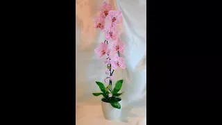 Розовая орхидея из бисера.Часть 1 - Лепестки.
