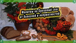 Молитвы на Ореховый Спас-29 Августа, Помогут Защитить от Болезней и Неприятностей. | Молитва на Спас