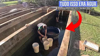 Foi isso que sobrou de peixes da enchente