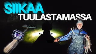 Siian Tuulastus  | Lyhyt oppimäärä | 2022